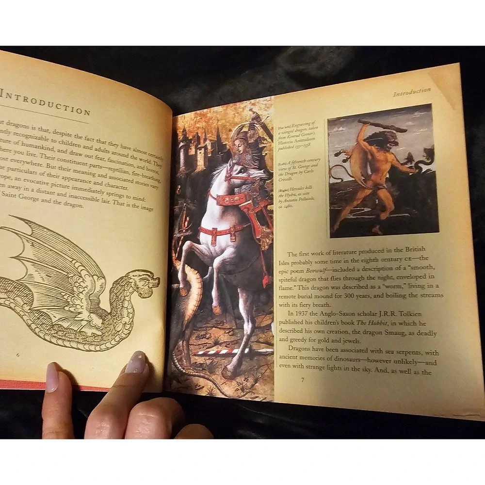 The Story Of Dragons By Shawn Brand